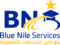 Blue Nile services logo
